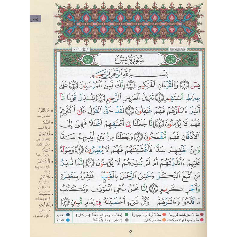 coran-tajwid-quart-yasin-sourates-yassine-36-à-an-nas-114-hafs-arabe-moyen-format-17x24-cm-مصحف-التجويد-ربع-يس